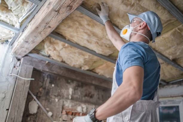 Best Commercial Insulation in Tazewell, TN
