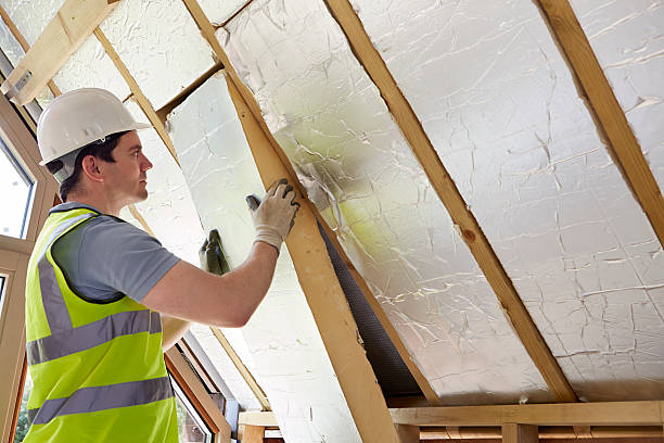 Best Eco-Friendly Insulation in Tazewell, TN