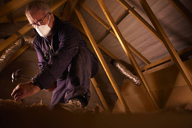 Reliable Tazewell, TN Insulation Contractor Solutions